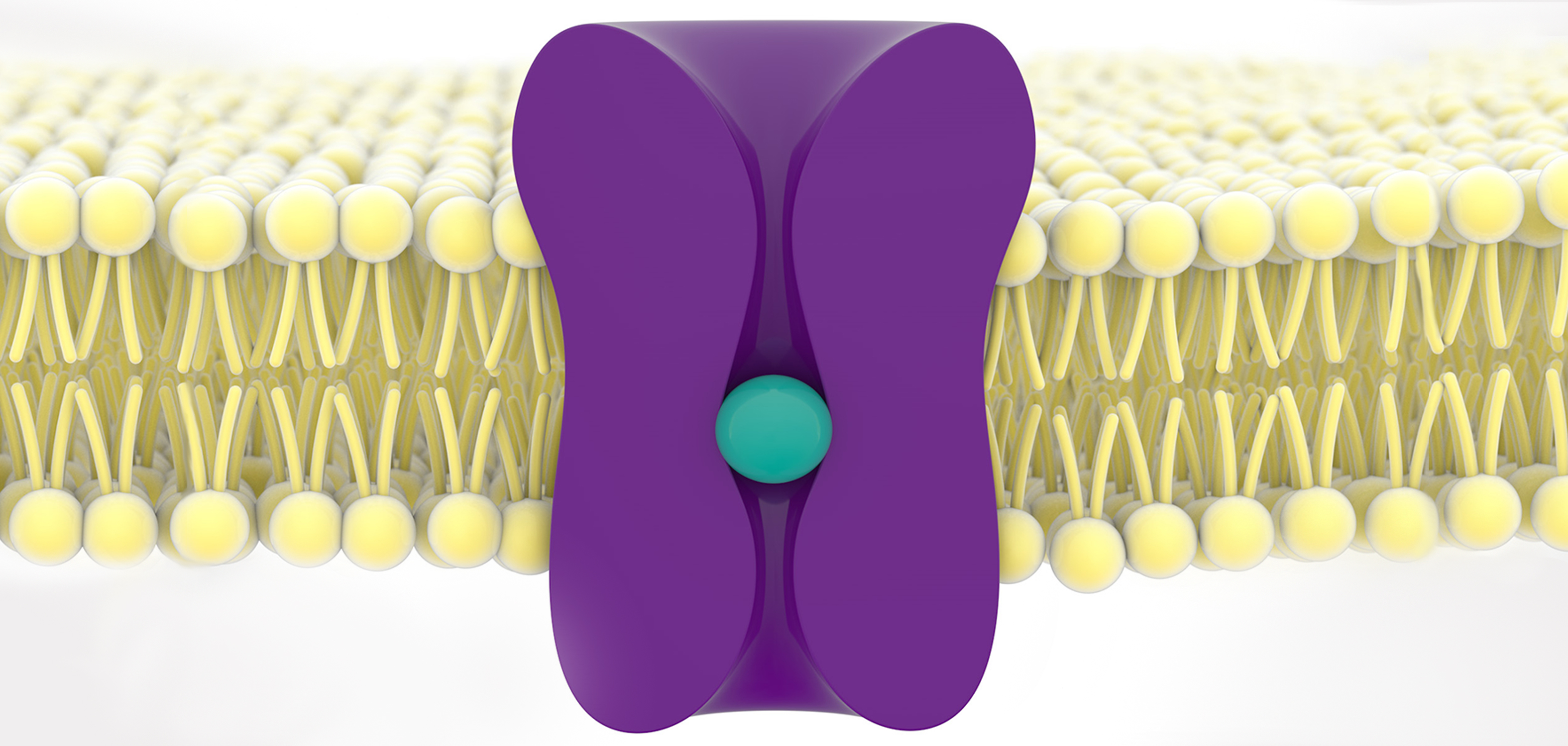 Characterisation of NMDA Receptor Modulators using QPatch